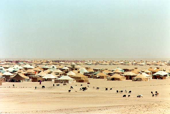 Tinddouf Camp