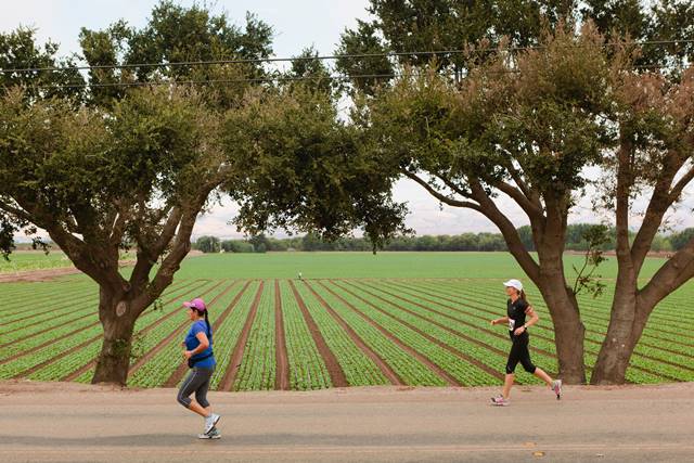 Salinas Half Marathon 2017